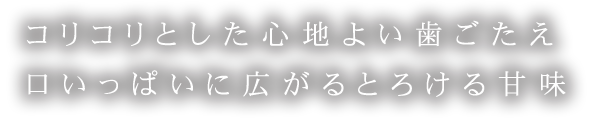 コリコリとした心地よい歯ごたえ