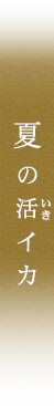 夏の活イカ